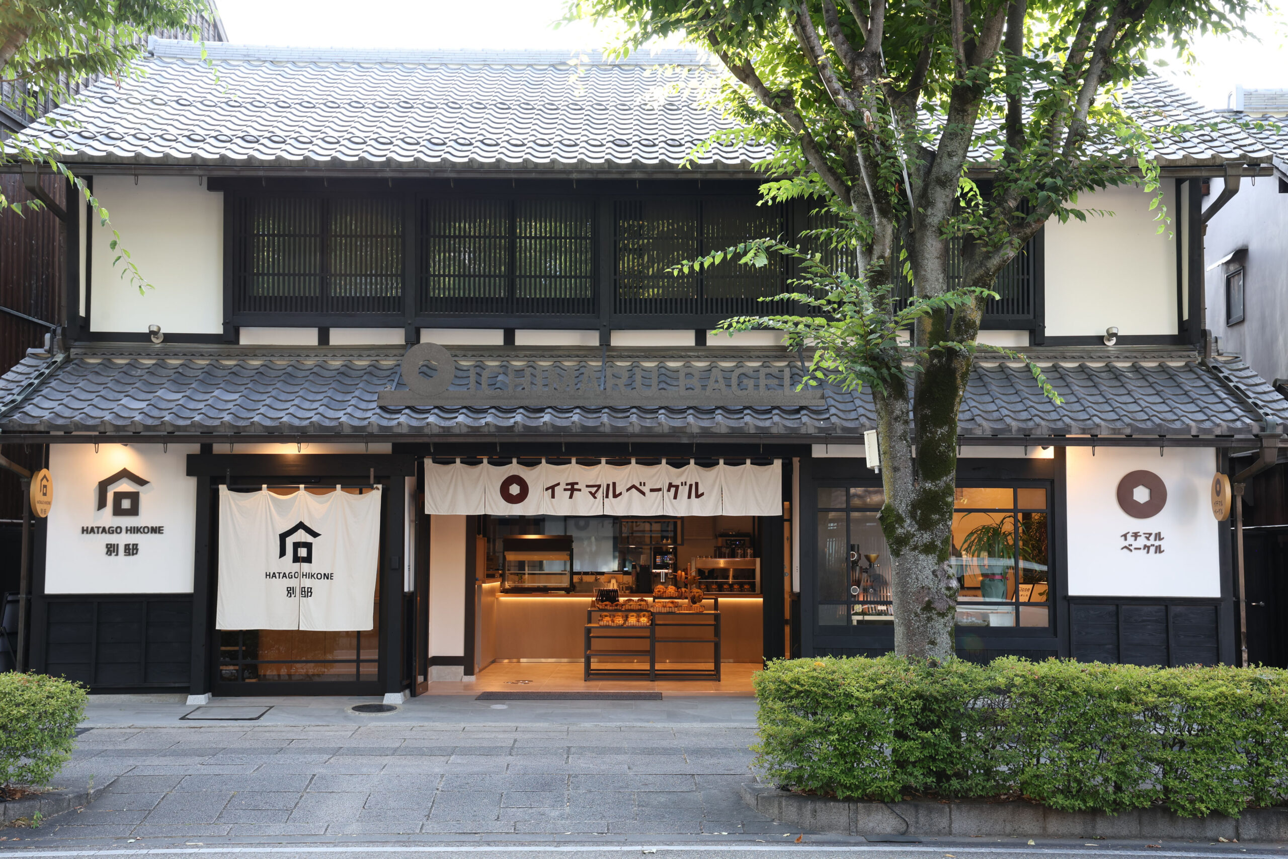 3Y7A2233店頭8