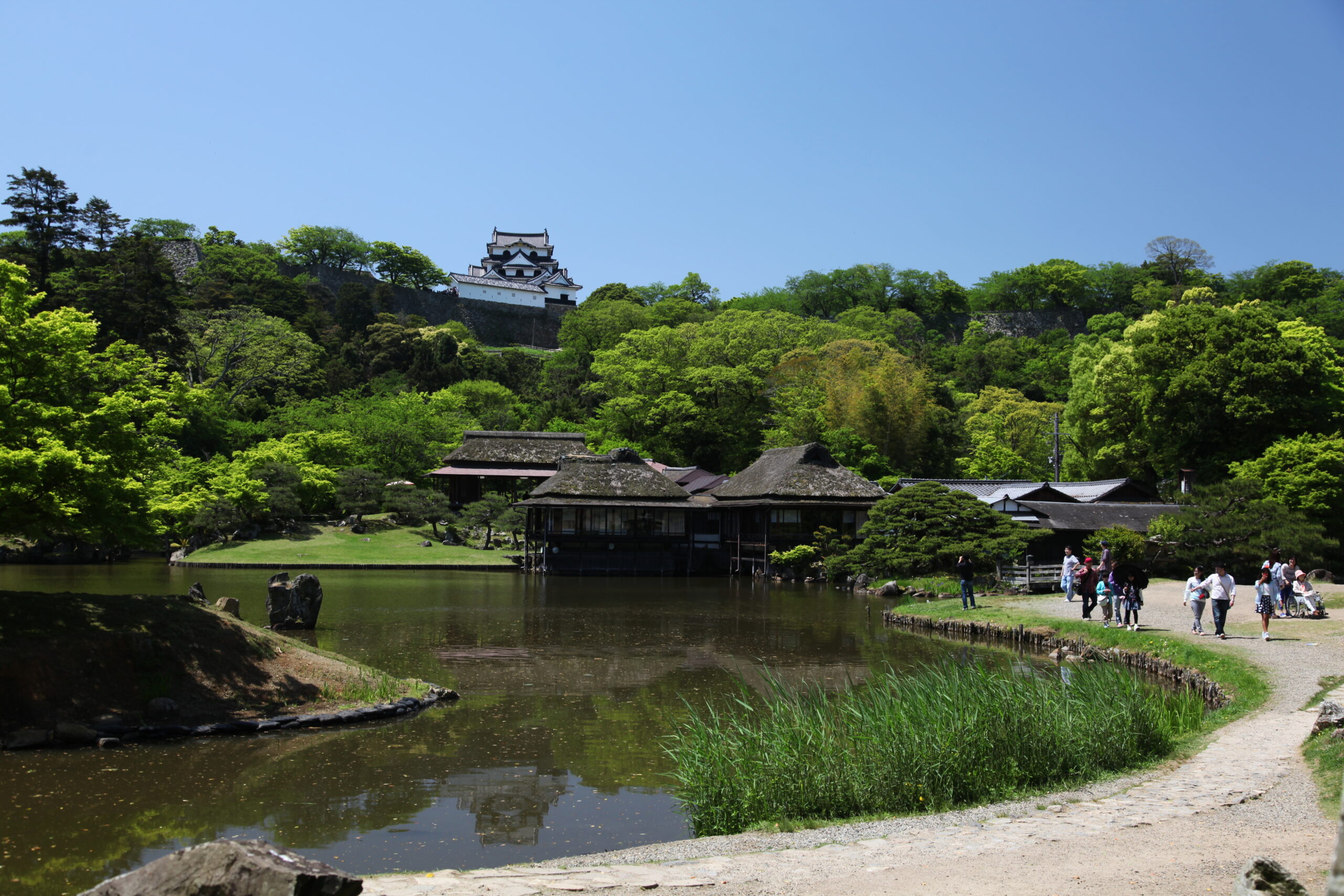 _玄宮園_新緑_8731